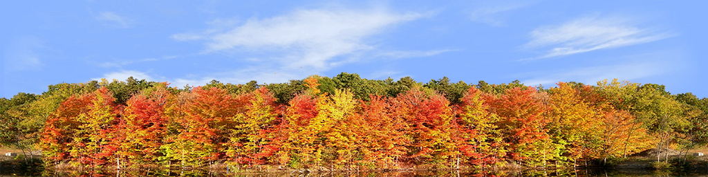 Autumn On Finger Lakes Continuous