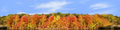 Autumn On Finger Lakes Continuous