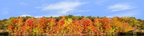 Autumn On Finger Lakes Continuous