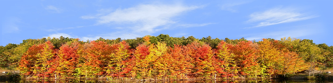 Autumn On Finger Lakes Continuous
