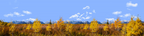 Autumn Golden Treeline Grand Teton Natl Park Wyoming
