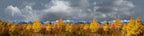 Autumn Golden Treeline Grand Teton Natl Park Wyoming