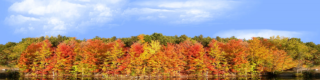 Autumn On Finger Lakes Continuous
