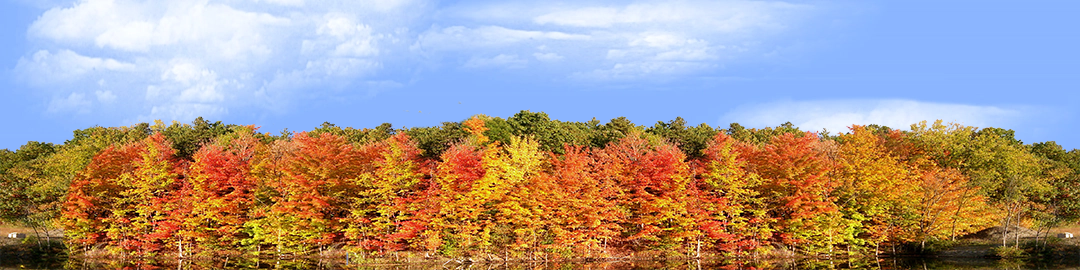 Autumn On Finger Lakes Continuous