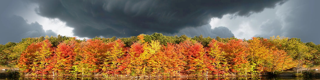 Autumn On Finger Lakes Continuous