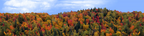 Autumn hillside covered with trees center repeatable