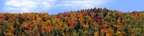 Autumn hillside covered with trees right