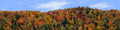 Autumn hillside covered with trees center repeatable