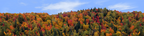 Autumn hillside covered with trees center repeatable