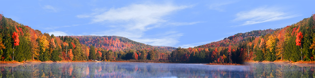 Autumn in Chapman State Park Pennsylvania center repeatable