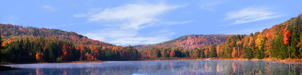 Autumn in Chapman State Park Pennsylvania left