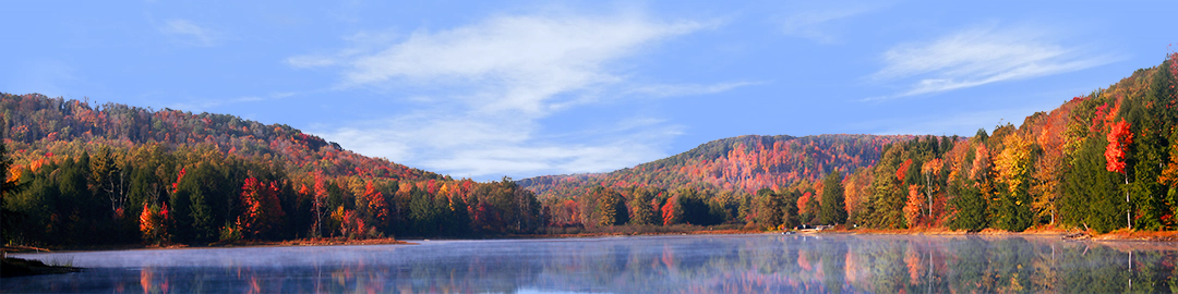 Autumn in Chapman State Park Pennsylvania left