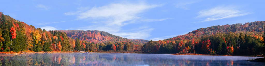 Autumn in Chapman State Park Pennsylvania right