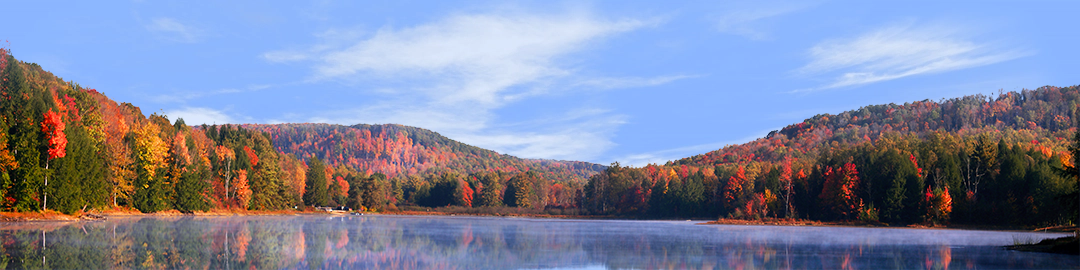 Autumn in Chapman State Park Pennsylvania right