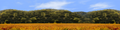 Autumn in Napa Valley California center repeatable