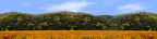 Autumn in Napa Valley California center repeatable