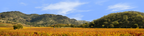 Autumn in Napa Valley California left