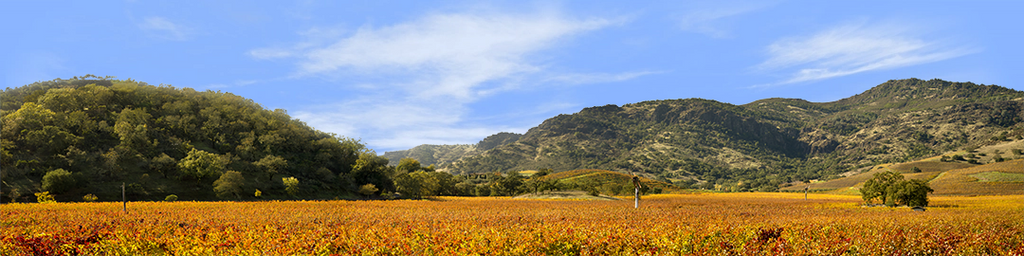 Autumn in Napa Valley California right