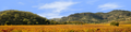 Autumn in Napa Valley California right