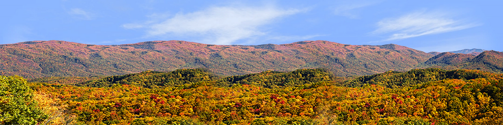 Autumn in Smoky Mountain National Park Tennessee left