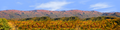 Autumn in Smoky Mountain National Park Tennessee left