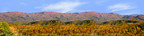 Autumn in Smoky Mountain National Park Tennessee left