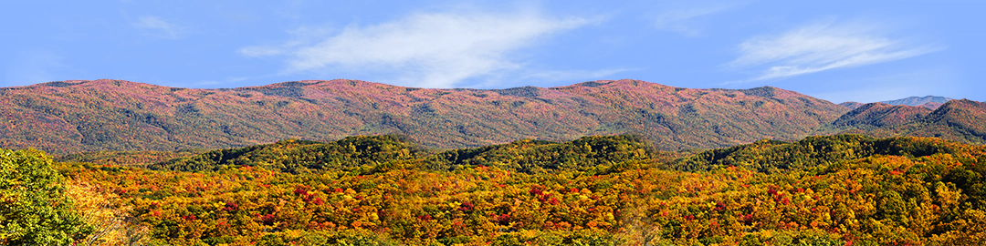 Autumn in Smoky Mountain National Park Tennessee left