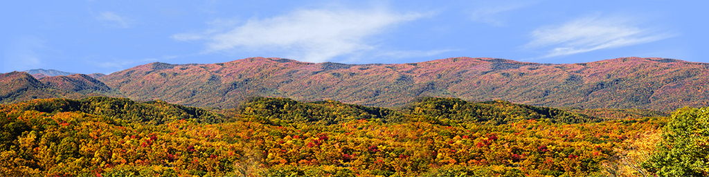 Autumn in Smoky Mountain National Park Tennessee right