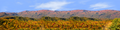 Autumn in Smoky Mountain National Park Tennessee right