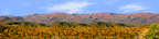 Autumn in Smoky Mountain National Park Tennessee right