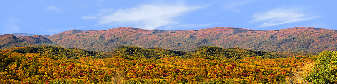 Autumn in Smoky Mountain National Park Tennessee right