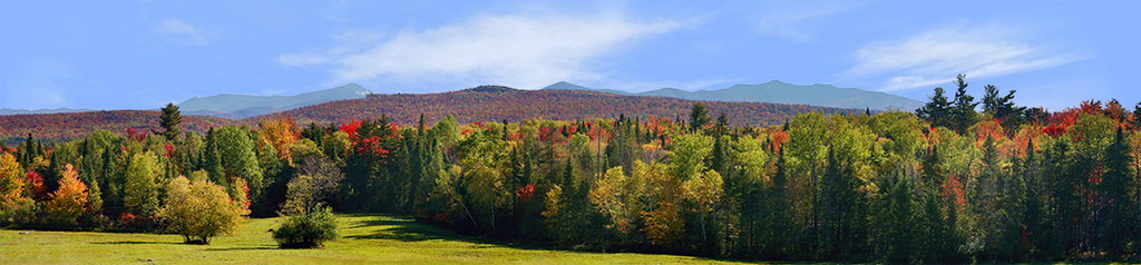 Autumn in the Adirondak Mountains left