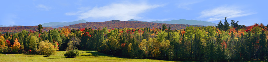 Autumn in the Adirondak Mountains left