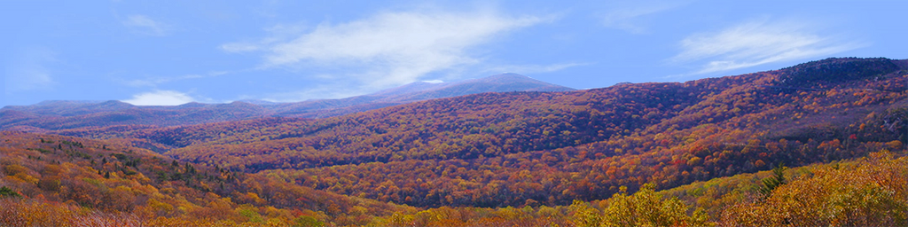 Autumn in the Blue Ridge Mountains left