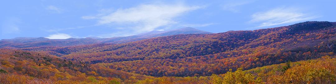 Autumn in the Blue Ridge Mountains left
