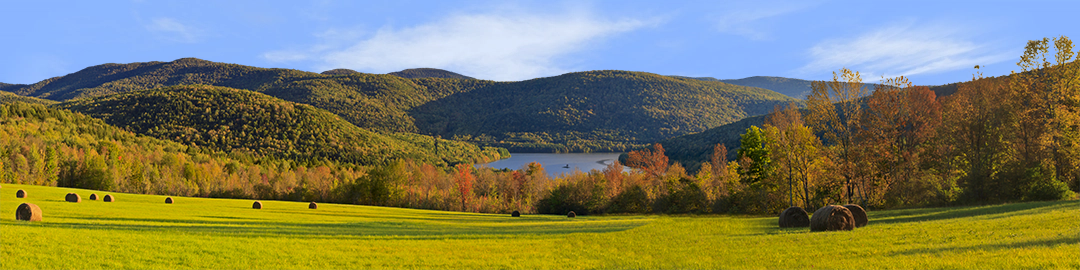 Autumn in the Catskills New York left