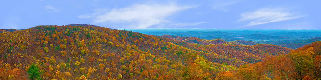 Autumn in the Shenandoah Valley left
