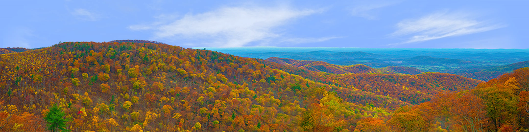 Autumn in the Shenandoah Valley left