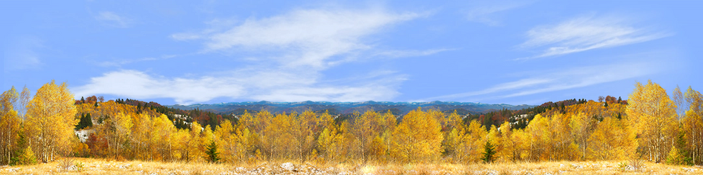 Autums Sokolski Mountains Poland