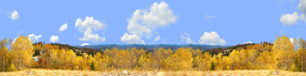 Autums Sokolski Mountains Poland
