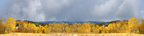 Autums Sokolski Mountains Poland