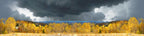 Autums Sokolski Mountains Poland