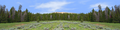 Bighorn National Park Flowered Meadow and Treeline center repeatable