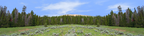 Bighorn National Park Flowered Meadow and Treeline center repeatable