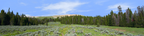 Bighorn National Park Flowered Meadow and Treeline left