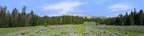 Bighorn National Park Flowered Meadow and Treeline right