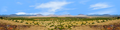 Coconino National Forest Arizona Desert Center Repeatable