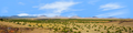 Coconino National Forest Arizona Desert left
