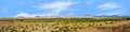 Coconino National Forest Arizona Desert right