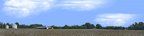 Cotton Fields Tennessee with Buildings left